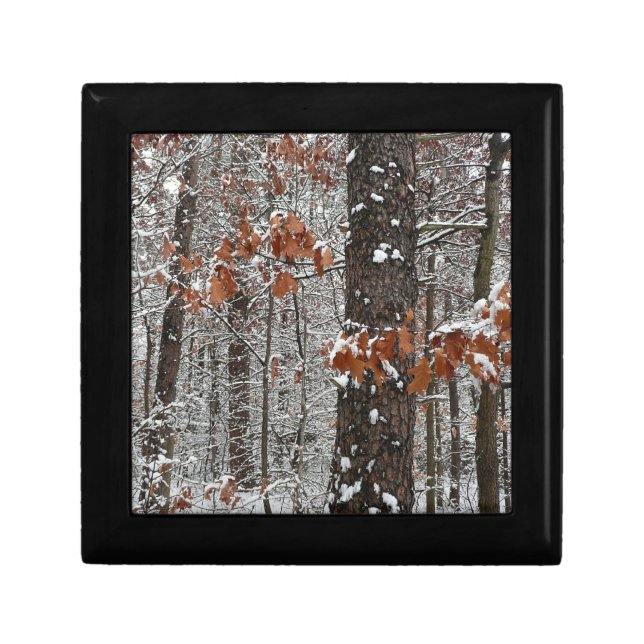 Snow Covered Oak Trees Winter Nature Photography Jewelry Box (Front)