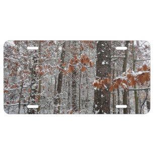 Snow Covered Oak Trees Winter Nature Photography License Plate