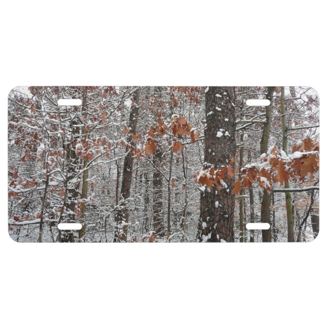 Snow Covered Oak Trees Winter Nature Photography License Plate (Front)