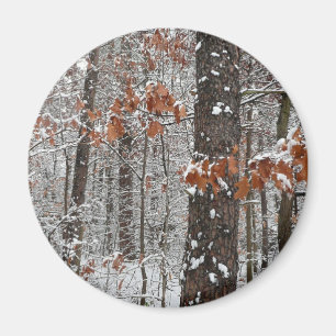 Snow Covered Oak Trees Winter Nature Photography Magnet
