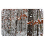 Snow Covered Oak Trees Winter Nature Photography Magnet