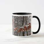 Snow Covered Oak Trees Winter Nature Photography Mug