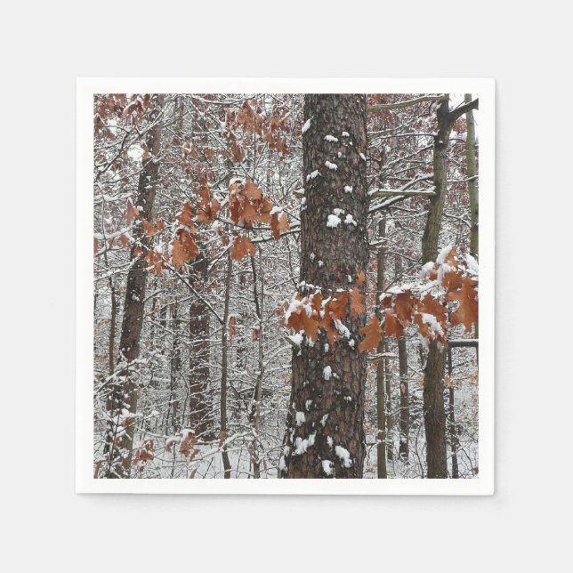 Snow Covered Oak Trees Winter Nature Photography Napkins (Front)