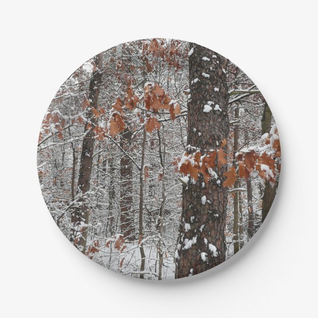 Snow Covered Oak Trees Winter Nature Photography Paper Plates (Front)