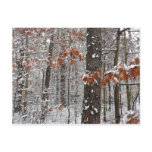 Snow Covered Oak Trees Winter Nature Photography Postcard