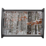 Snow Covered Oak Trees Winter Nature Photography Serving Tray