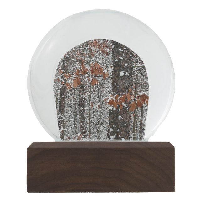 Snow Covered Oak Trees Winter Nature Photography Snow Globe (Front)