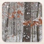 Snow Covered Oak Trees Winter Nature Photography Square Paper Coaster