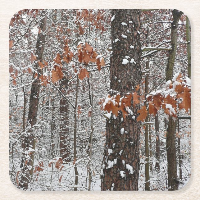 Snow Covered Oak Trees Winter Nature Photography Square Paper Coaster (Front)