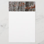 Snow Covered Oak Trees Winter Nature Photography Stationery