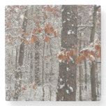 Snow Covered Oak Trees Winter Nature Photography Stone Coaster
