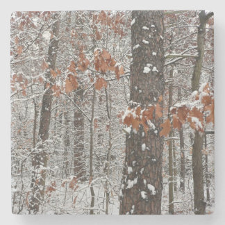 Snow Covered Oak Trees Winter Nature Photography Stone Coaster