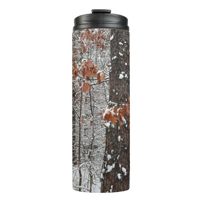 Snow Covered Oak Trees Winter Nature Photography Thermal Tumbler (Front)