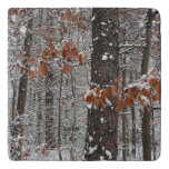 Snow Covered Oak Trees Winter Nature Photography Trivet