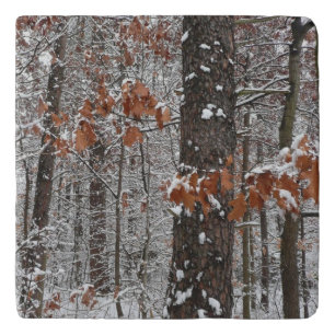 Snow Covered Oak Trees Winter Nature Photography Trivet