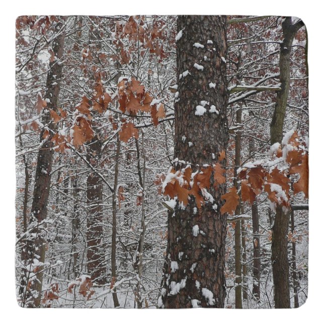 Snow Covered Oak Trees Winter Nature Photography Trivet (Front)