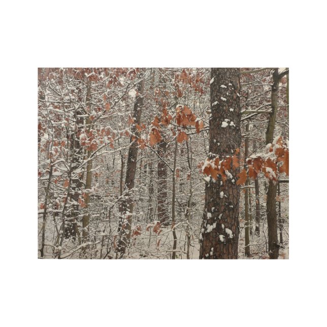 Snow Covered Oak Trees Winter Nature Photography Wood Poster (Front)