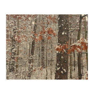 Snow Covered Oak Trees Winter Nature Photography Wood Wall Art