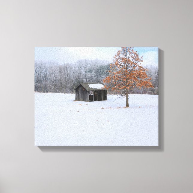 Snow Covered Paddock Canvas Print (Front)