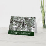 Snow Covered Pine Holidays Card
