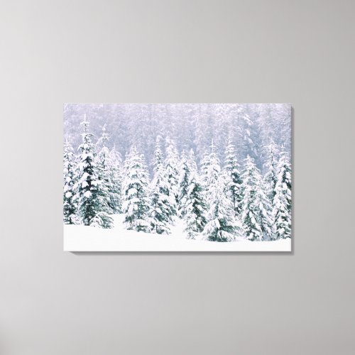 Snow covered pine trees canvas print