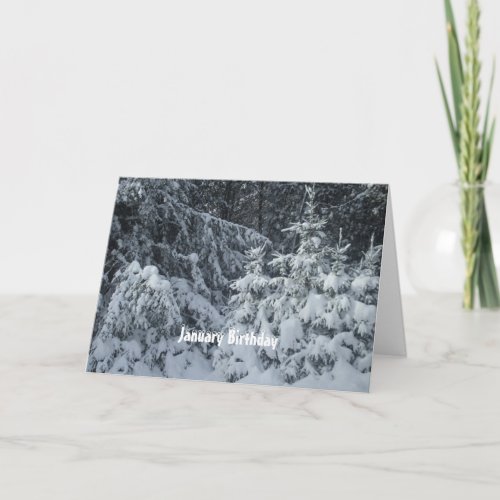 Snow Covered Pine Trees Card