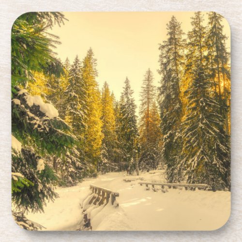 Snow Covered Pine Trees Forest Nature Photo Beverage Coaster