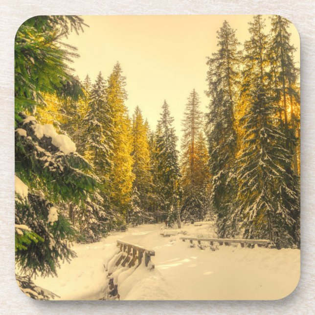 Snow Covered Pine Trees Forest Nature Photo Beverage Coaster (Front)