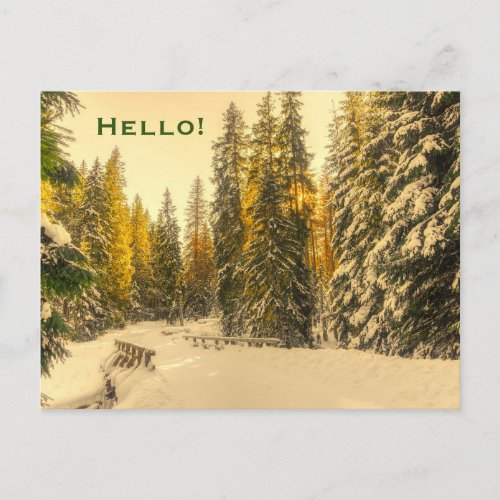 Snow Covered Pine Trees Forest Nature Photo Hello Postcard