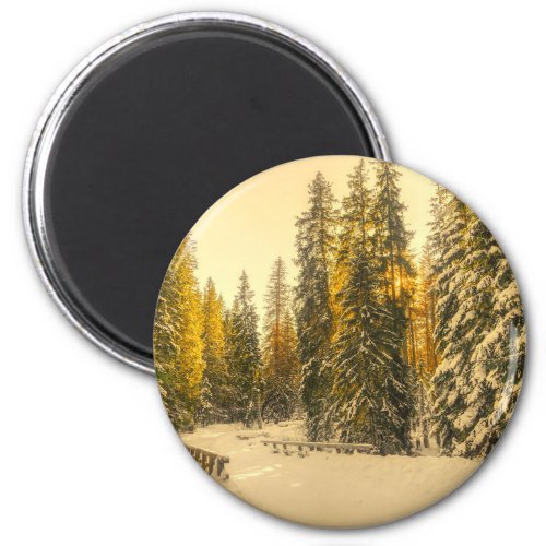 Snow Covered Pine Trees Forest Nature Photo Magnet
