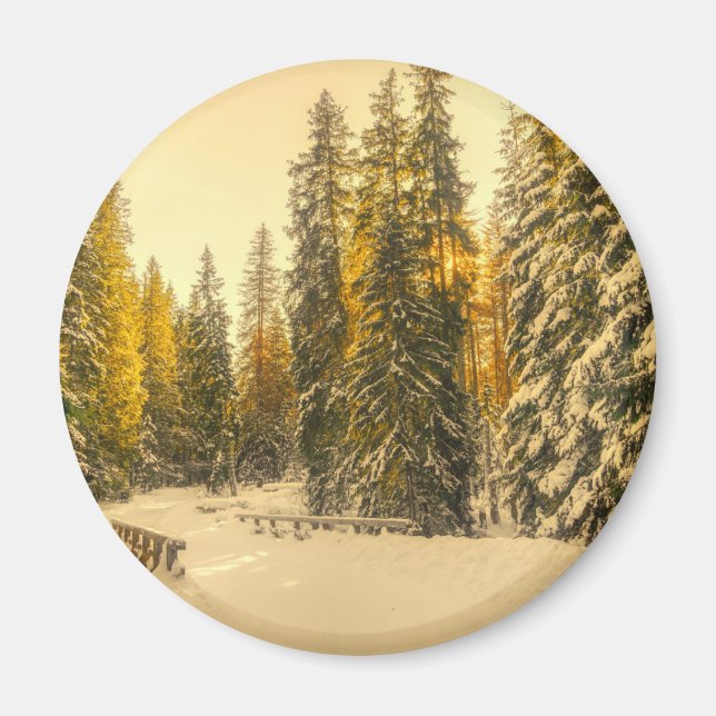 Snow Covered Pine Trees Forest Nature Photo Magnet (Front)