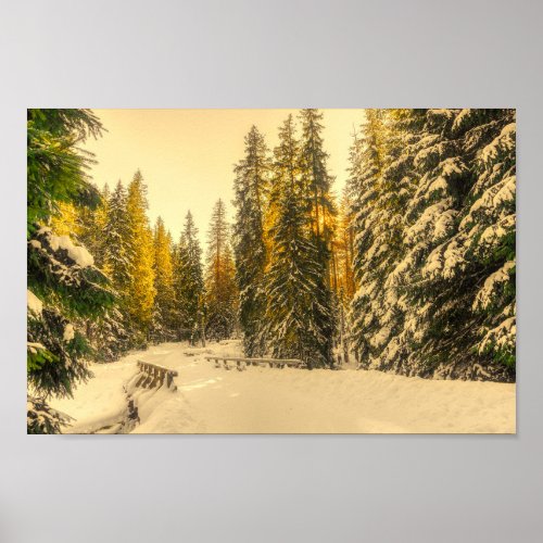 Snow Covered Pine Trees Forest Nature Photo Poster