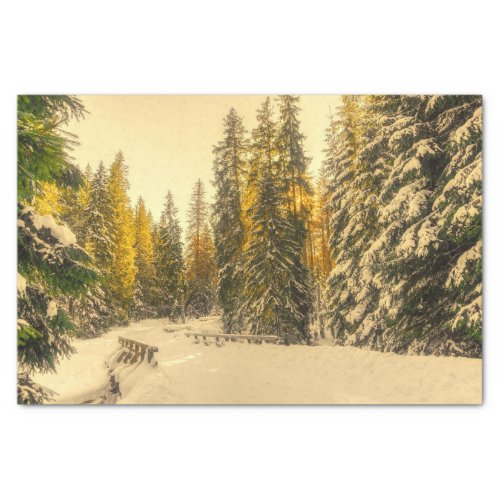 Snow Covered Pine Trees Forest Nature Photo Tissue Paper
