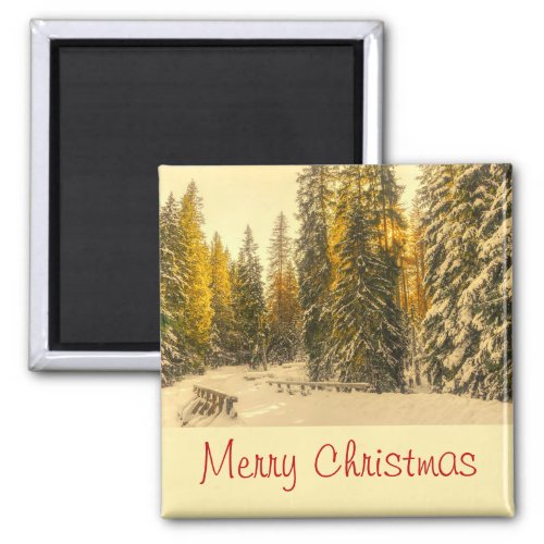 Snow Covered Pine Trees Forest Photo Christmas Magnet
