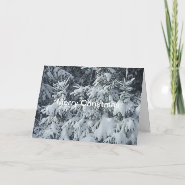 Snow Covered Pine Trees Holiday Card (Front)