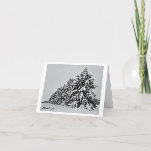 Snow covered pine trees letterpress thank you card (Front)