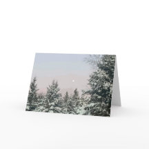 Snow Covered Pine Trees Moon Sunset