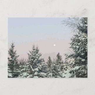 Snow Covered Pine Trees Moon Sunset Postcard