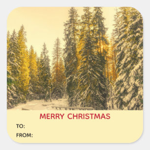 Snow Covered Pine Trees Outdoorsy Nature Photo Square Sticker