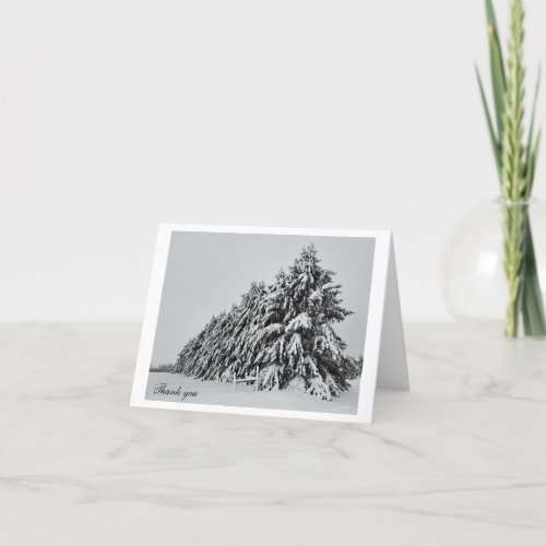 Snow covered pine trees thank you card