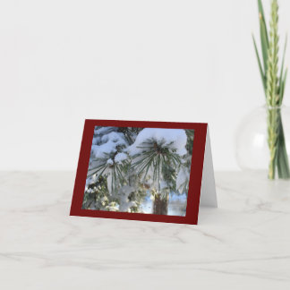 snow covered pines holiday card