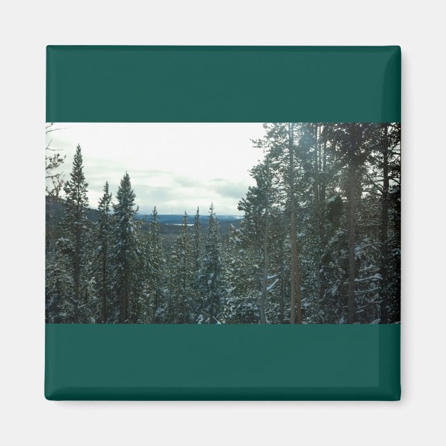Snow-covered pines mountain scenery magnet (Front)