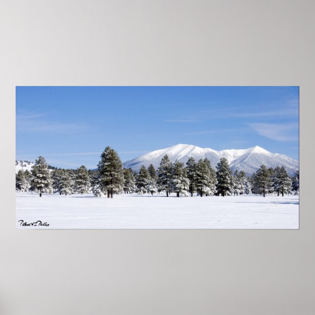 Snow Covered Pines & San Francisco Peaks Arizona Poster (Front)