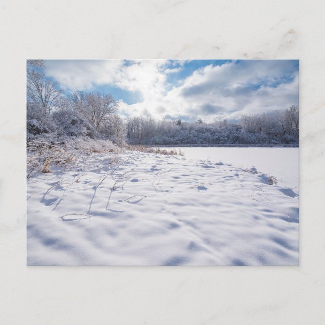 Snow Covered Pond and Woodlands at Salem Hills Holiday Postcard (Front)