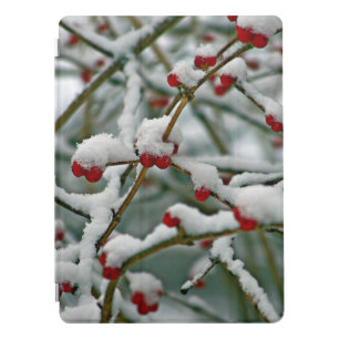 Snow-covered red berries, picturesque iPad pro cover