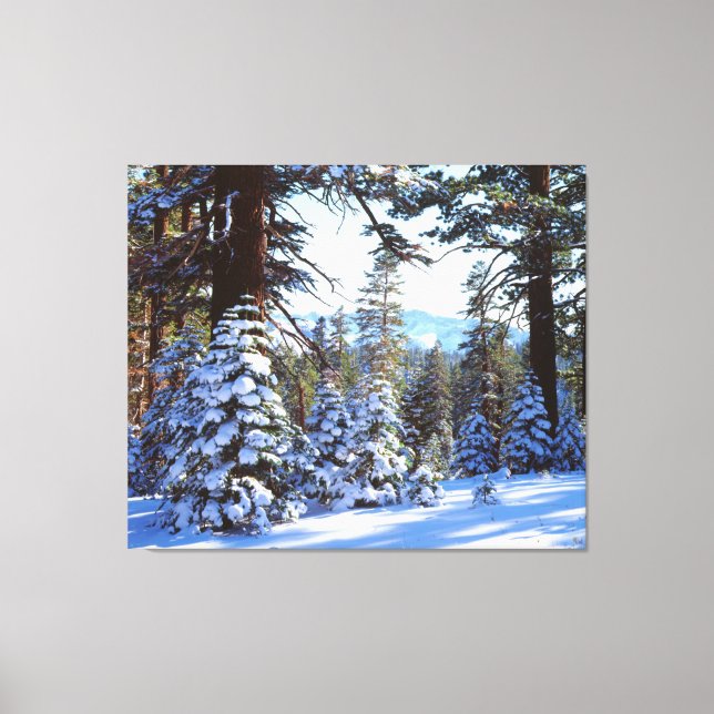 Snow-covered Red Fir trees in the High Sierra 2 Canvas Print (Front)