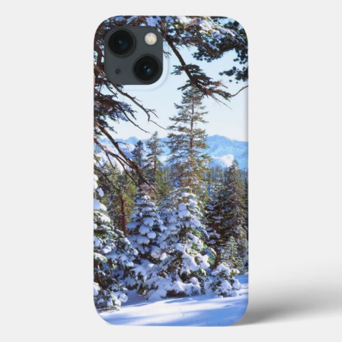 Snow_covered Red Fir trees in the High Sierra 2 iPhone 13 Case