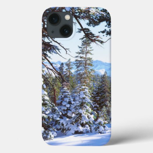 Snow_covered Red Fir trees in the High Sierra 2 iPhone 13 Case
