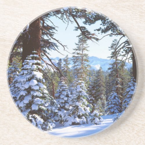 Snow_covered Red Fir trees in the High Sierra 2 Drink Coaster