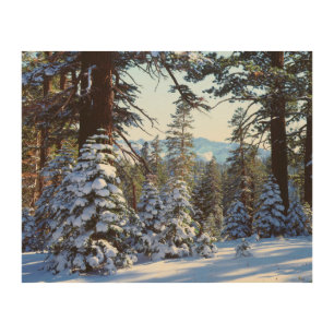 Snow-covered Red Fir trees in the High Sierra 2 Wood Wall Decor